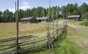Liesjärvi nationalpark