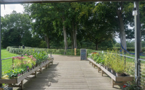 Wakehurst botaniska trädgård