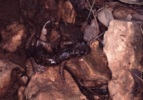 s_supramontis_sardinia_040418_pb10