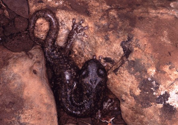 s_supramontis_sardinia_040418_pb9