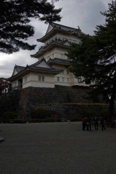 IMGP0626