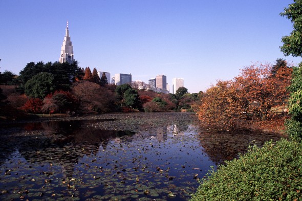 Shinjukukoen0311_24
