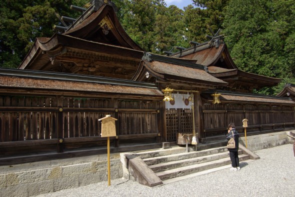 IMGP1522