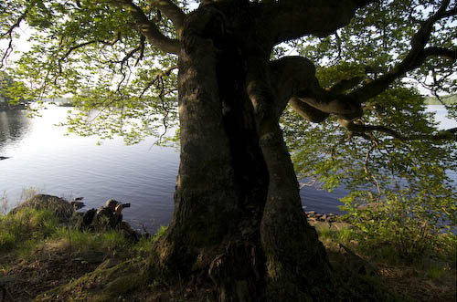 PB_breanas_110521_IMGP5373_500