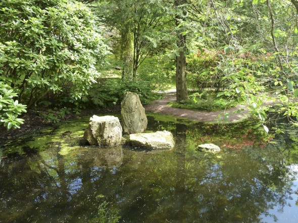 PB_botaniska_110602_P1030081