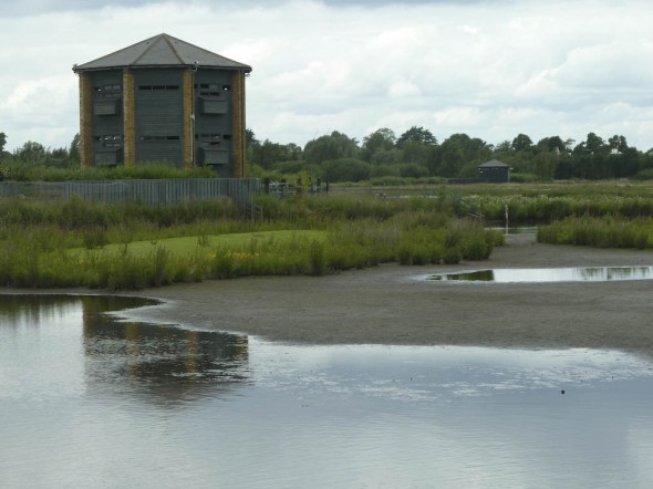 PB_120617_londonwetlandcentre_P1080405
