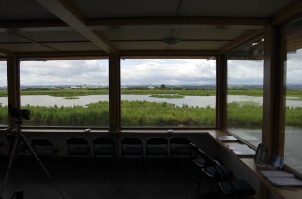 PB_120629_wetlandreserve_IMGP0377