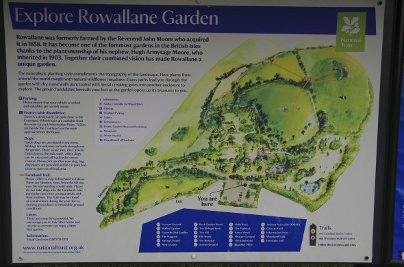 PB_120708_rowallaneGarden_IMGP3108