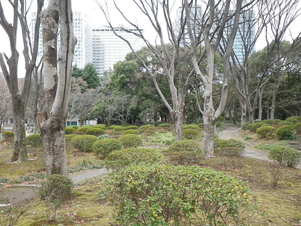 25012013-IMGP0202