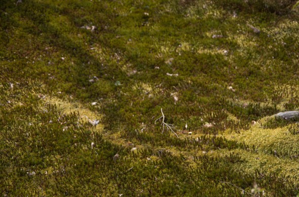 24032013-IMGP2464