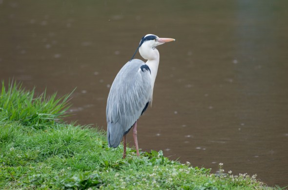 02042013-IMGP2570