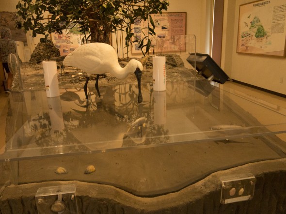 Higuchi_keiouniversity_PB_okinawa_04102013_IMG_7144