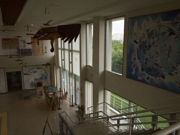 Higuchi_keiouniversity_PB_okinawa_04102013_IMG_7149