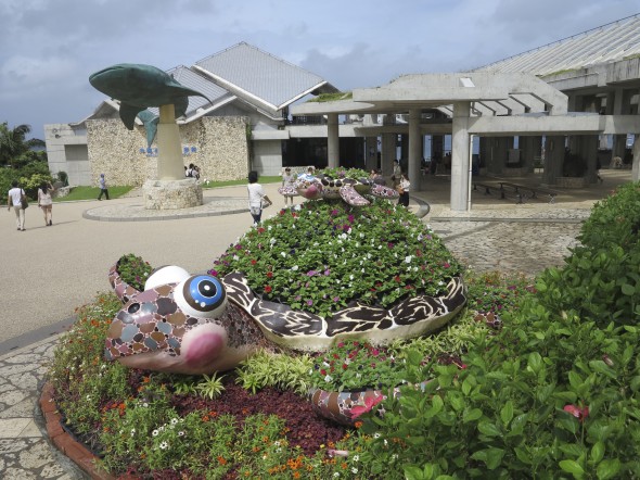 Higuchi_keiouniversity_PB_okinawa_06102013_IMG_7261