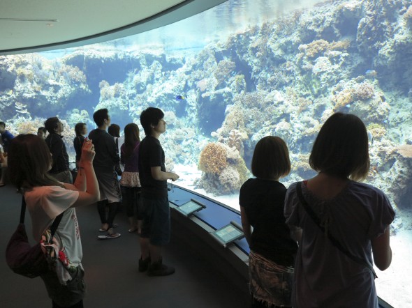 Higuchi_keiouniversity_PB_okinawa_06102013_IMG_7271