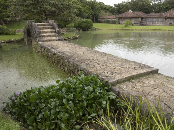 Higuchi_keiouniversity_PB_okinawa_06102013_IMG_7358