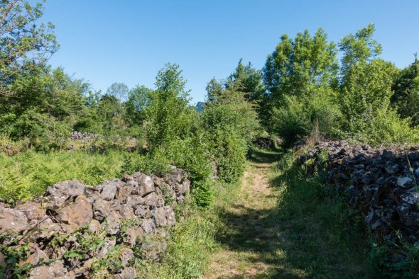 DSC01477