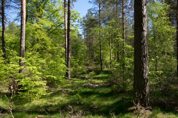 IMGP1532_1920