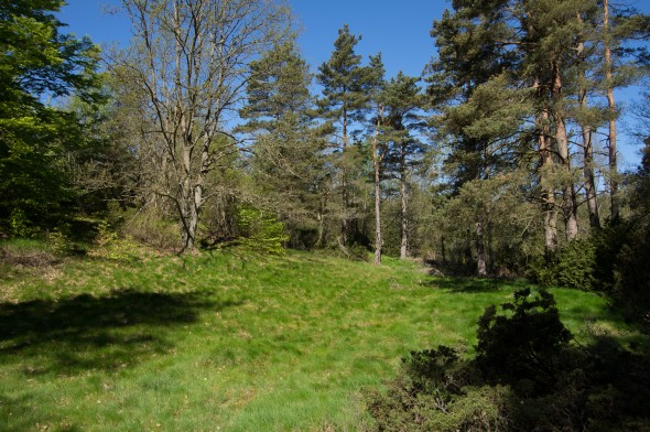IMGP1543_1920