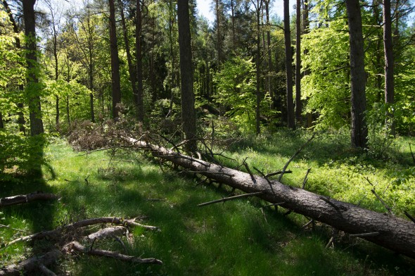 IMGP1549_1920