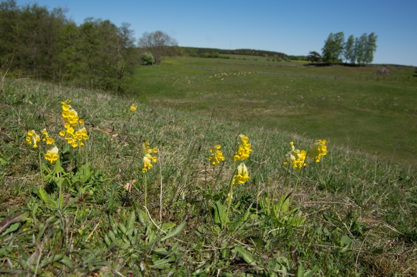 IMGP1552_1920
