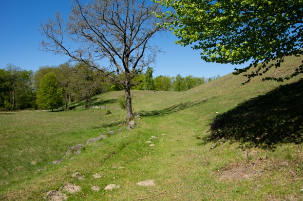 IMGP1572_1920