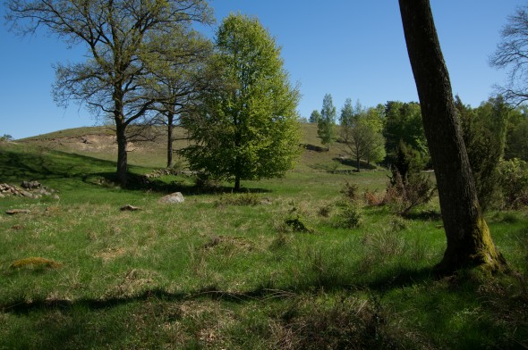 IMGP1576_1920