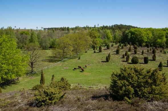 IMGP1586_1920