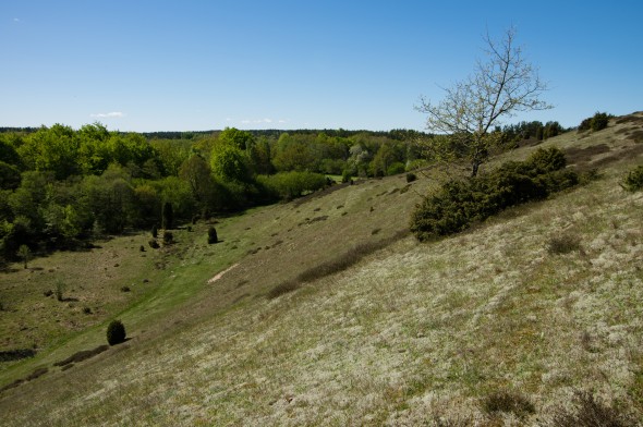 IMGP1620_1920