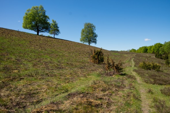 IMGP1627_1920