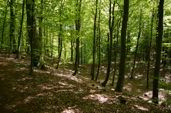 IMGP1649_1920