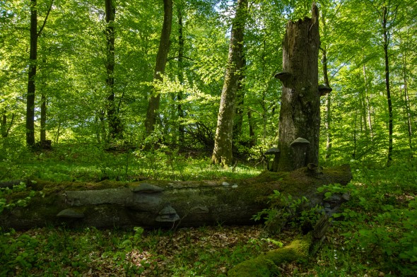 IMGP1665_1920
