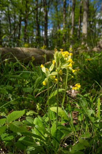 IMGP1696_1920
