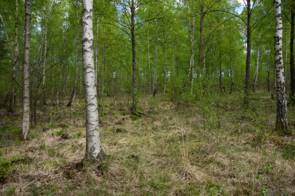 IMGP1720_1920