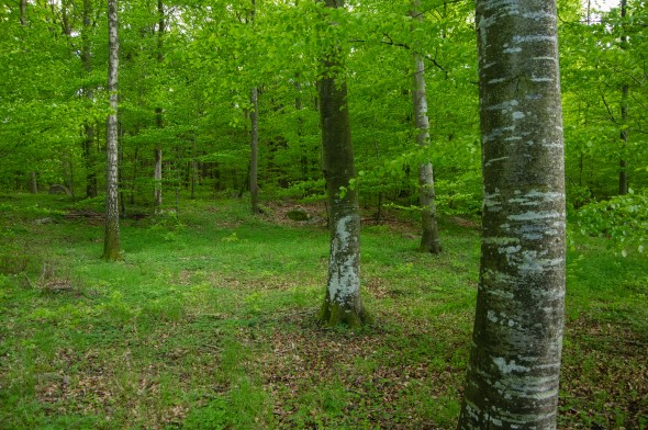 IMGP1754_1920