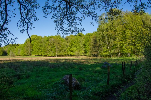 IMGP1856_1920