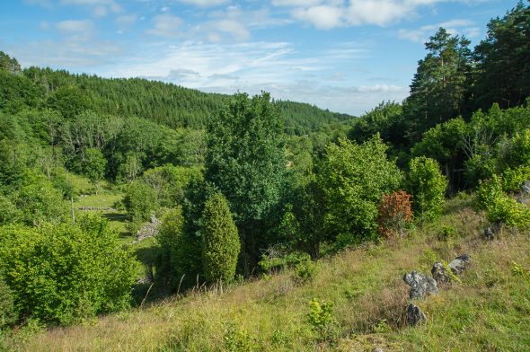 IMGP9209_PerBlomberg