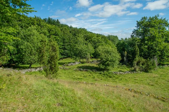 IMGP9213_PerBlomberg