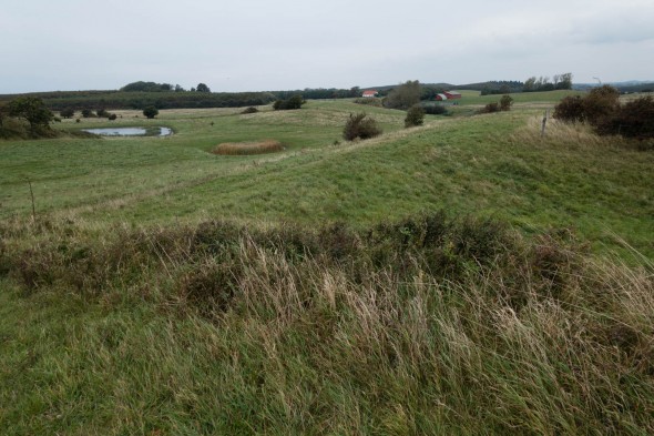 DSC02465
