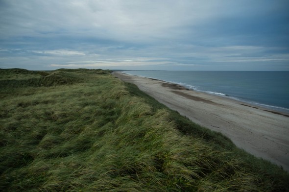 IMGP1797