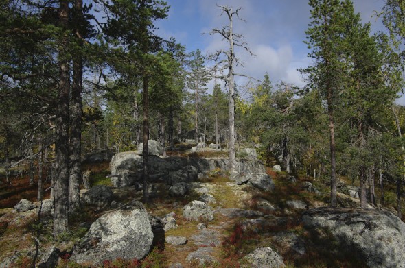 PB__tyskland_090917_IMGP0778