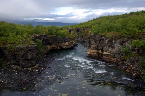 abisko_080830_IMGP2775