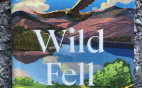 Wild fell