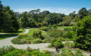 Golden Gate Botanical Garden