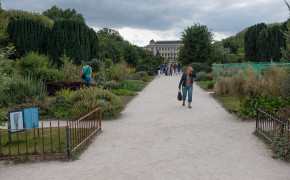 Botaniska trädgården Paris