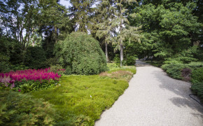 Hannover botaniska trädgård