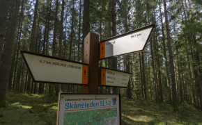 Skåneleden SL1 etapp 8 & 9 Osby – Vittsjö 33 km